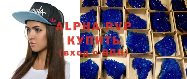 spice Новодвинск
