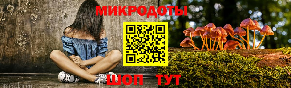 Псилоцибиновые грибы Psilocybe Кореновск