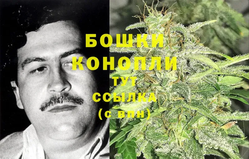 Марихуана SATIVA & INDICA  купить наркотик  Кореновск 